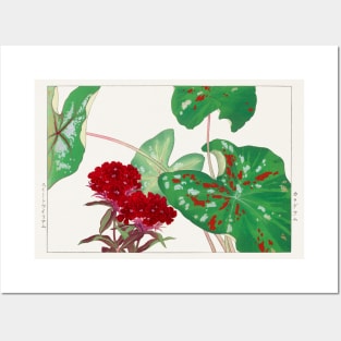 Vintage Sweet William Ears Flowers and Elephant ears leaves Japanese flower art Posters and Art